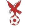 https://img.aliang80.com/img/football/team/4802d26df935b78bb2fcdbbff36e8864.png