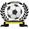 https://img.aliang80.com/img/football/team/6dc6d59af2f0962597b412473a6708ee.png